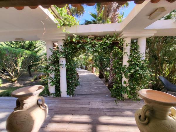 Petra-Bianca : photo 1 de la chambre suite junior - vue sur piscine