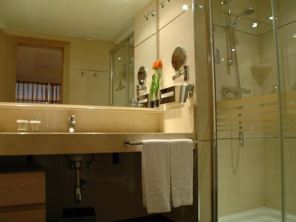 Washington Parquesol Suites & Hotel : photo 5 de la chambre studio