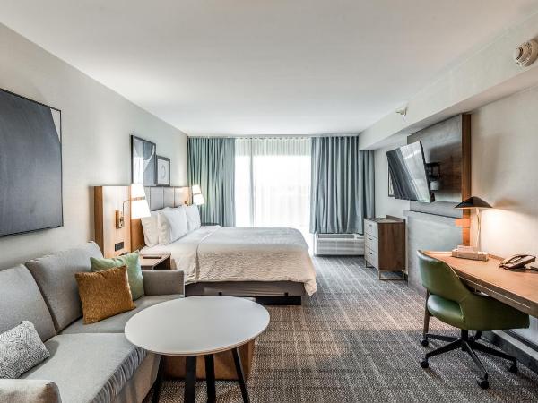 Staybridge Suites Dallas Market Ctr Love Field, an IHG Hotel : photo 3 de la chambre suite studio lit king-size