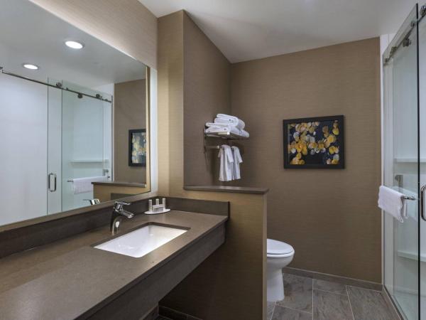Fairfield Inn & Suites by Marriott Colorado Springs East : photo 7 de la chambre chambre lit king-size