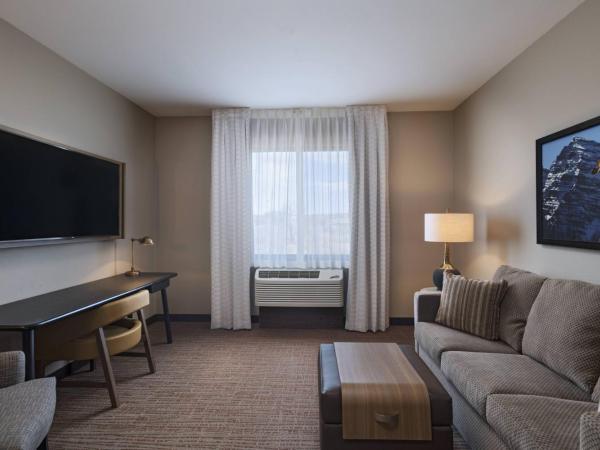Fairfield Inn & Suites by Marriott Colorado Springs East : photo 6 de la chambre suite lit king-size et canapé-lit