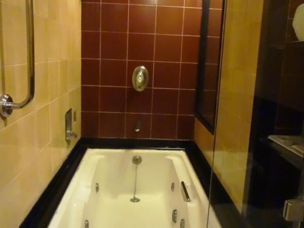 Ramee Guestline Hotel Dadar : photo 1 de la chambre suite