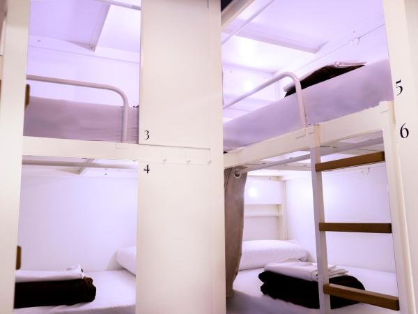 Black Swan Hostel Granada : photo 5 de la chambre lit dans dortoir pour femmes de 10 lits