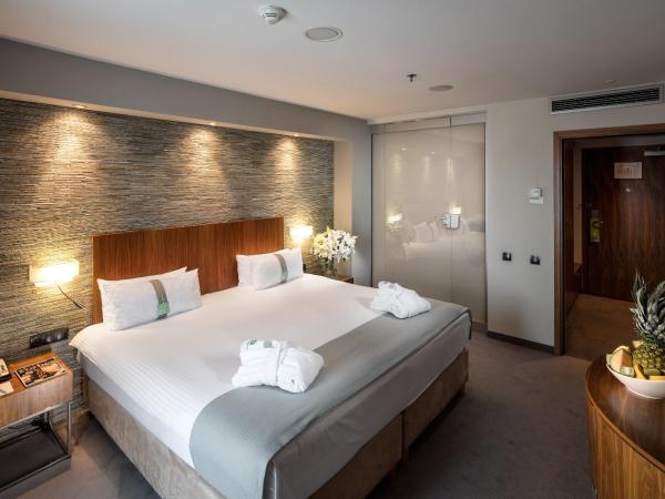 Holiday Inn Łódź, an IHG Hotel : photo 5 de la chambre suite 1 chambre