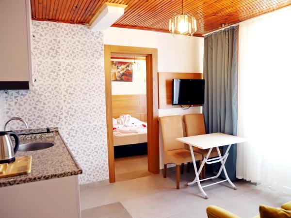 Akın Apart and Hotel : photo 6 de la chambre appartement 2 chambres