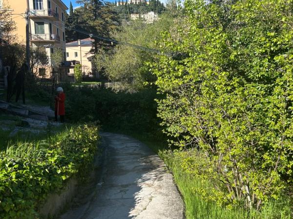 Maestro Suites : photo 3 de la chambre chambre double supérieure