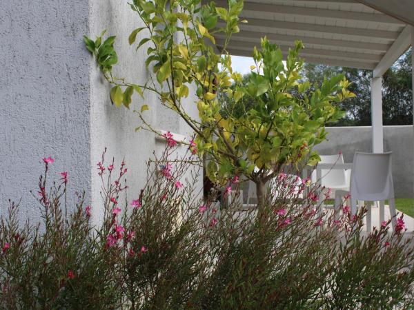 LIDO DEL FARO : photo 7 de la chambre chambre lit queen-size deluxe