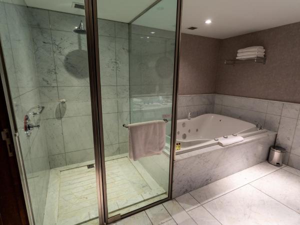 Sheraton Mendoza Hotel : photo 10 de la chambre suite présidentielle lit king-size