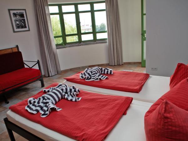 Seminar- und Gästehaus Flussbad Gartenstrasse : photo 6 de la chambre chambre lits jumeaux