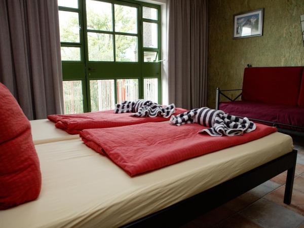 Seminar- und Gästehaus Flussbad Gartenstrasse : photo 1 de la chambre chambre lits jumeaux