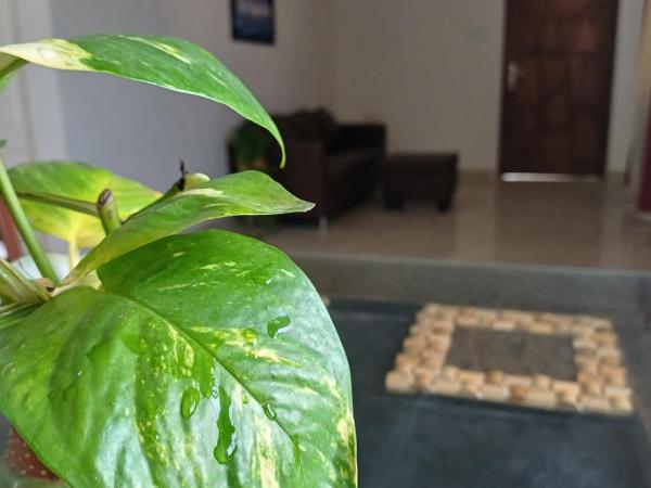 Friendlystay Prime : photo 6 de la chambre chambre deluxe