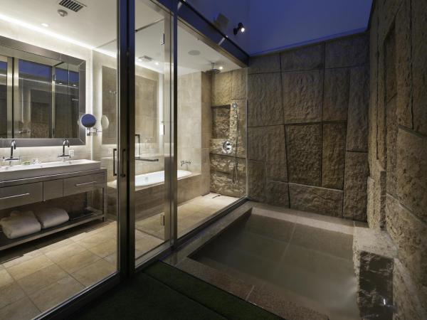 Shinjuku Granbell Hotel : photo 3 de la chambre suite complexe hôtelier - non-fumeurs