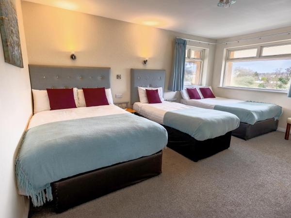 Killarney View House B&B : photo 1 de la chambre chambre familiale avec salle de bains privative