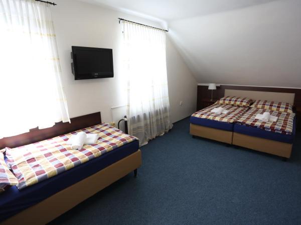 Pension & Restaurace Na Rychtě : photo 1 de la chambre chambre triple avec salle de bains privative