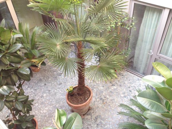 Loft Verona : photo 7 de la chambre chambre double deluxe