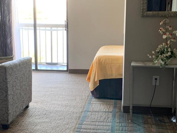 Great Location Studio Pool/Lake View Orlando I-Drive : photo 10 de la chambre studio avec vue sur lac