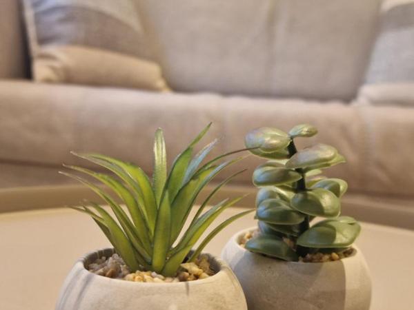 MELIGEO SUITES Center of IOANNINA : photo 8 de la chambre chambre familiale avec salle de bains privative