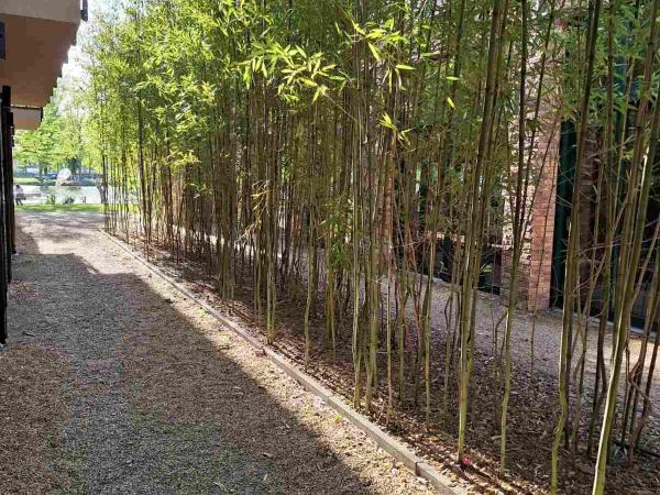 Duna Garden Hotel : photo 10 de la chambre chambre double standard