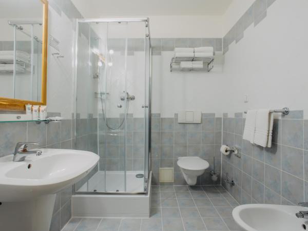 Louis Leger - Czech Leading Hotels : photo 2 de la chambre chambre simple