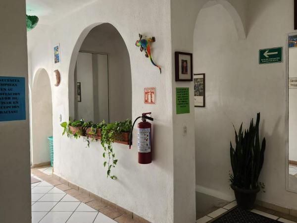 Alexandross : photo 9 de la chambre dortoir mixte