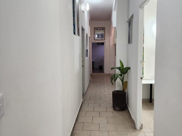 Alexandross : photo 6 de la chambre studio standard