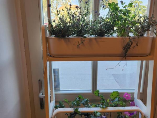 Hotel Amfiteatar : photo 2 de la chambre chambre double supérieure