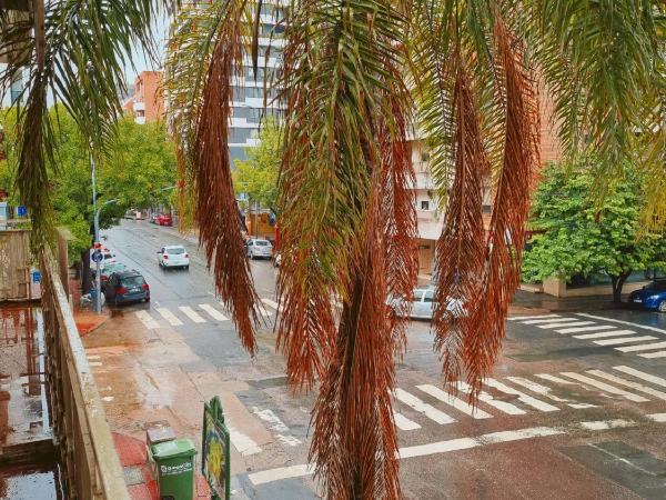 HOTEL HM : photo 1 de la chambre chambre quadruple avec salle de bains privative