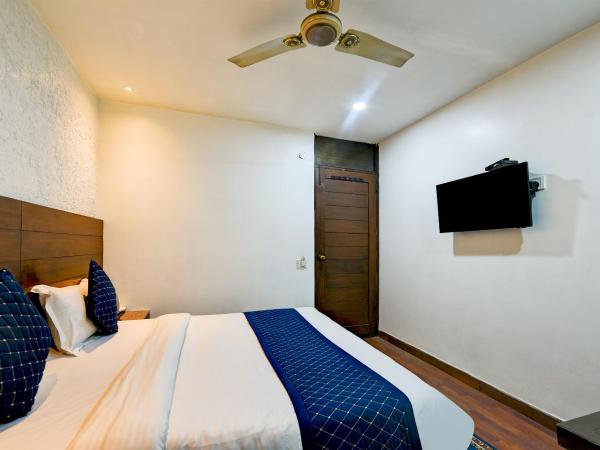 Hotel Raj - Walk-In from New Delhi Railway Station : photo 8 de la chambre chambre double supérieure