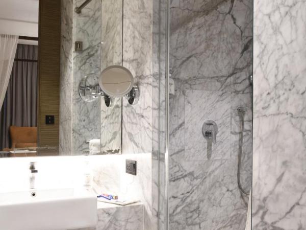 Residency Hotel Fort : photo 5 de la chambre club heritage large room