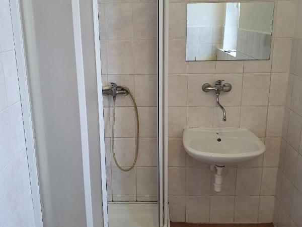 Ubytovna Vídeňská : photo 1 de la chambre chambre simple avec toilettes et douche communes