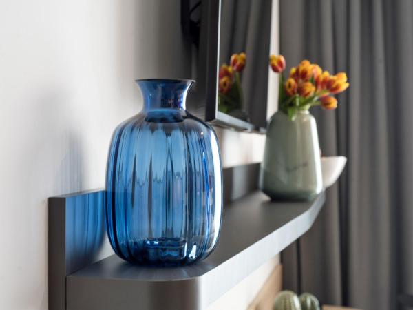 Appart'City Collection Genève Aéroport - Vernier : photo 4 de la chambre studio double