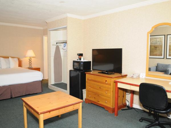 Civic Center Motor Inn : photo 1 de la chambre chambre supérieure lit king-size ou lit queen-size - non-fumeurs 