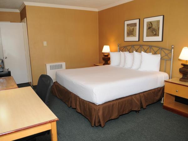 Civic Center Motor Inn : photo 3 de la chambre chambre supérieure lit king-size ou lit queen-size - non-fumeurs 