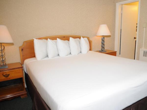 Civic Center Motor Inn : photo 2 de la chambre chambre supérieure lit king-size ou lit queen-size - non-fumeurs 