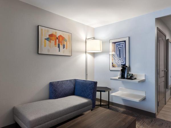 Holiday Inn Express Savannah Airport, an IHG Hotel : photo 3 de la chambre chambre lit king-size - accessible aux personnes à mobilité réduite / adapté aux malentendants