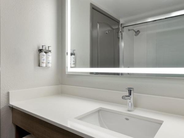 Holiday Inn Express Savannah Airport, an IHG Hotel : photo 2 de la chambre chambre lit king-size standard