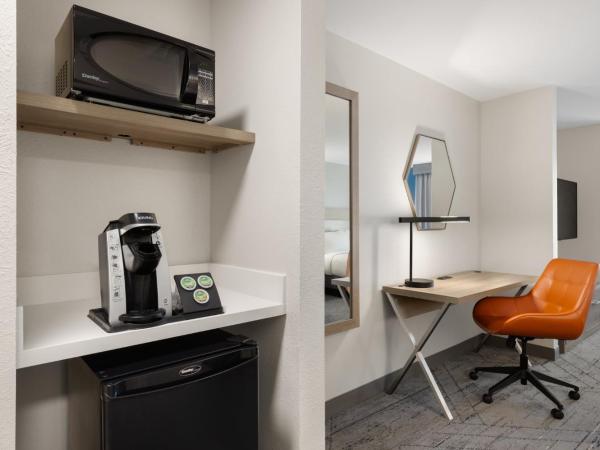 Holiday Inn Express Savannah Airport, an IHG Hotel : photo 4 de la chambre chambre lit king-size standard