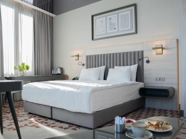 Best Western Plus Hotel Konak : photo 1 de la chambre chambre lit king-size deluxe - vue sur ville