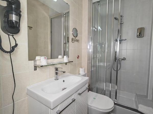 Hôtel La Rotonde : photo 9 de la chambre chambre double ou lits jumeaux confort avec climatisation