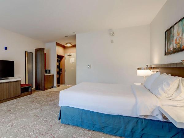 Hilton Garden Inn Indianapolis Northwest : photo 3 de la chambre chambre lit king-size avec douche accessible en fauteuil roulant - adaptée aux personnes à mobilité réduite