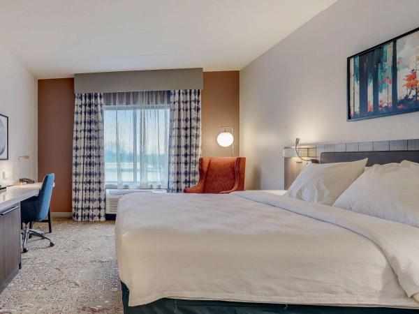 Hilton Garden Inn Indianapolis Northwest : photo 5 de la chambre chambre lit king-size