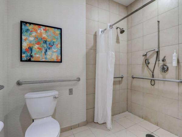 Hilton Garden Inn Indianapolis Northwest : photo 9 de la chambre chambre lit king-size avec douche accessible en fauteuil roulant - adaptée aux personnes à mobilité réduite