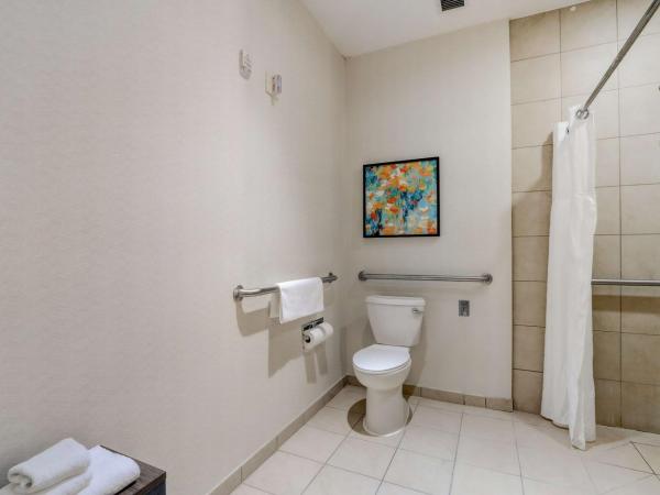 Hilton Garden Inn Indianapolis Northwest : photo 7 de la chambre chambre lit king-size avec douche accessible en fauteuil roulant - adaptée aux personnes à mobilité réduite