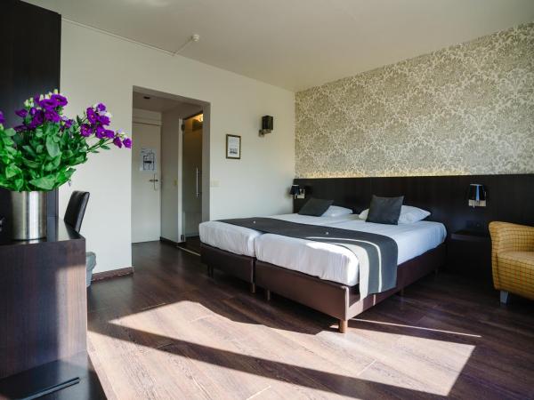 Hôtel Ambassadeur : photo 6 de la chambre chambre lits jumeaux deluxe