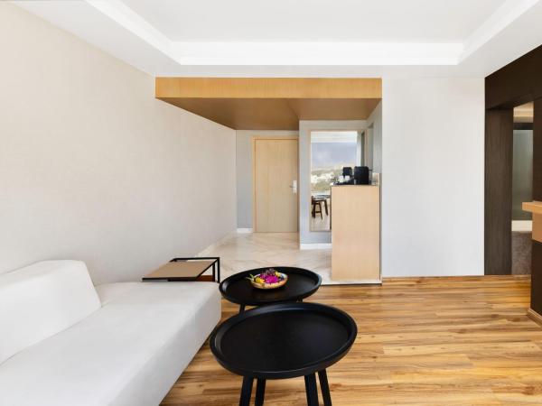 Novotel Jaipur Convention Centre : photo 10 de la chambre executive suite with one double bed - non smoking/city side (avail *unlimited imfl from 6 pm to 8 pm daily ( selected drinks only) complimentary coffee available from 6 am to 8 pm *early check-in before 2 hours)