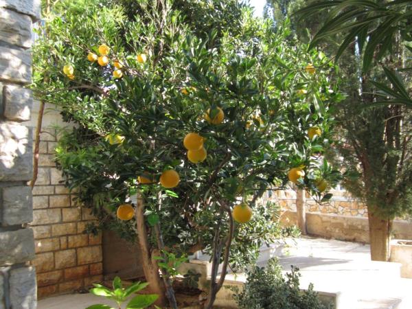 Guesthouse Punta Mira - Beachfront : photo 9 de la chambre chambre lits jumeaux - vue sur mer