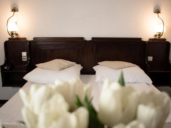 Hotel Dwór Polski : photo 7 de la chambre chambre lits jumeaux