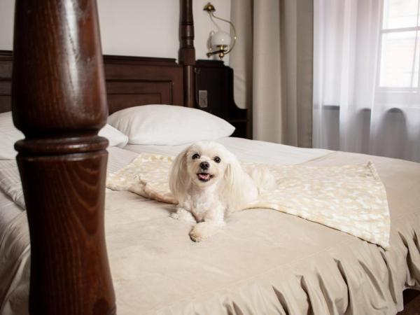 Hotel Dwór Polski : photo 4 de la chambre chambre double supérieure