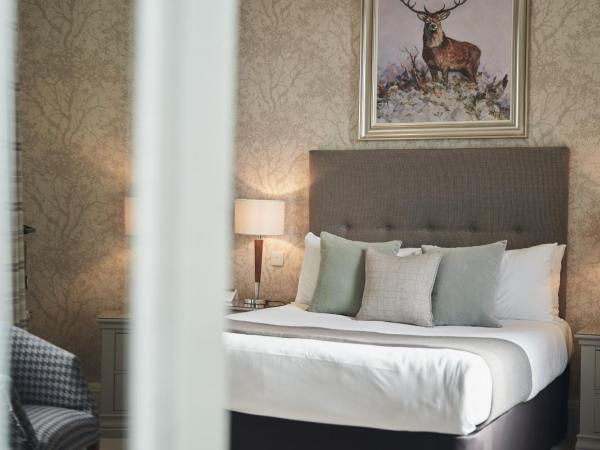 The Cults Hotel : photo 2 de la chambre chambre lit king-size supérieure