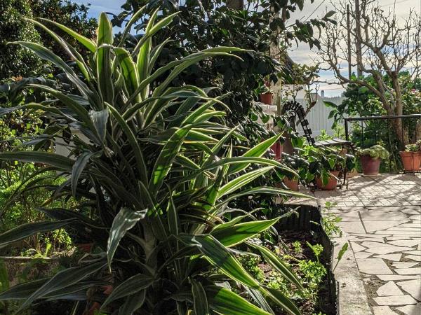 Alojamento da Avó Rosa : photo 9 de la chambre chambre double avec salle de bains privative